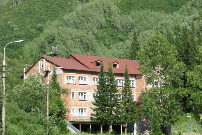 Пантолечение: время быть здоровым! - PR